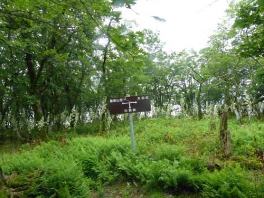 天狗岩分岐